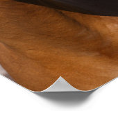 ボブラングリシュ |ベイカナディアンスポーツホースヘッドショット ポスター (角)