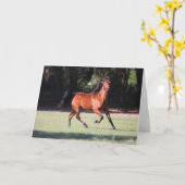 ボブラングリシュ |ベイテネシーウォーカーランニングズ カード (黄色い花)