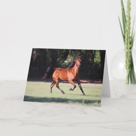 ボブラングリシュ |ベイテネシーウォーカーランニングズ カード (正面)