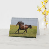 ボブラングリシュ |ベイルシタノマーレランニングニアレイク カード (黄色い花)