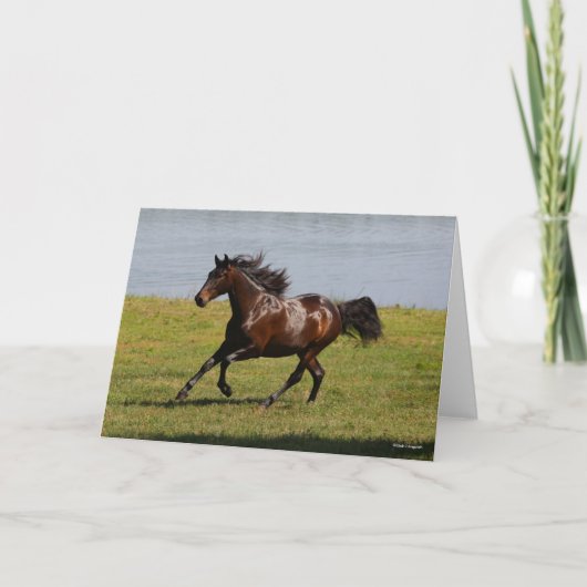 ボブラングリシュ |ベイルシタノマーレランニングニアレイク カード (正面)