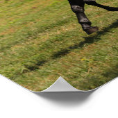 ボブラングリシュ |ベイルシタノマーレランニングー湖の近く ポスター (角)