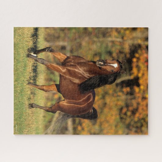 ボブラングリシュ |ベイ・アラブの秋の背景 ジグソーパズル (横)