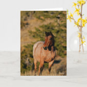 ボブラングリシュ |マスタングホーススタンディング カード (黄色い花)