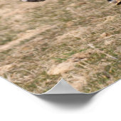 ボブラングリシュ |ミニチュアポニーランニングズ高速 ポスター (角)