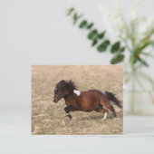 ボブラングリシュ |ミニチュアポニーランニングズ高速 ポストカード (スタンド正面)