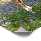 ボブラングリシュ |モーガン・フォールがブルーベルで跳躍 ポスター (角)