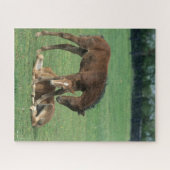 ボブラングリシュ モーガン・ホース・フォール遊ズx 2 ジグソーパズル (横)