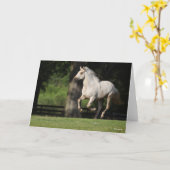 ボブラングリシュ |ルシターノホースランニングズ カード (黄色い花)