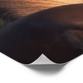 ボブラングリシュ |ロッキー山馬のヘッドショット ポスター (角)