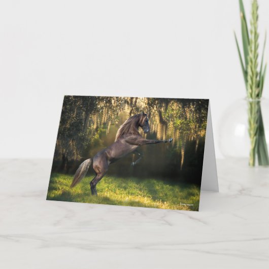 ボブラングリシュ |ロッキー山馬の飼育 カード (正面)