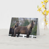 ボブラングリシュ ロッキー山馬二頭立ち カード (黄色い花)