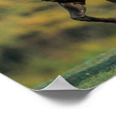 ボブラングリシュ ロッキー山馬秋 ポスター (角)