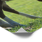 ボブラングリシュ |ワルムクロード・マーレとフォール・バックライト ポスター (角)