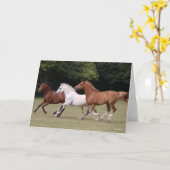 ボブラングリシュ |三つのアラブ馬のランニング カード (黄色い花)