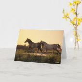 ボブラングリシュ |二人のアラブ馬の歩くアットサンセット カード (黄色い花)