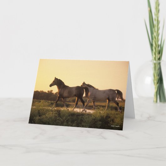 ボブラングリシュ |二人のアラブ馬の歩くアットサンセット カード (正面)