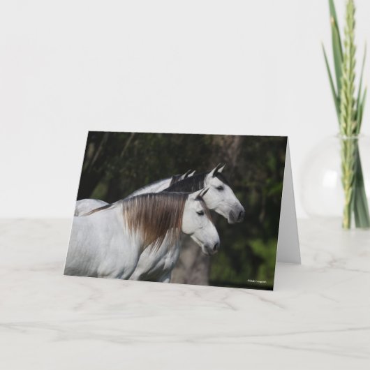 ボブラングリシュ |二人のアンダルシア人が共に立つ カード (正面)