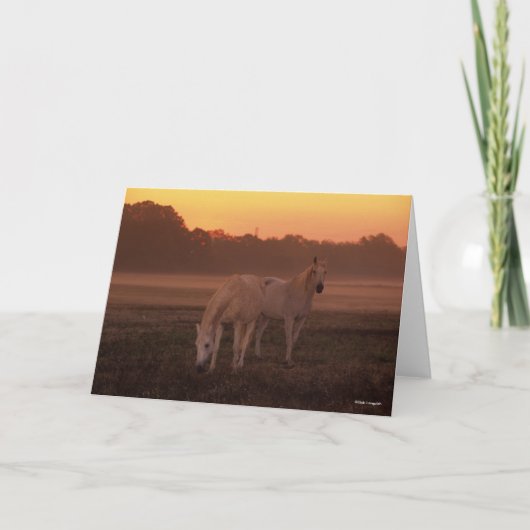 ボブラングリシュ |二頭の灰色のアラブ人の馬が立っている カード (正面)