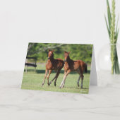 ボブラングリシュ |四分の一の馬が一緒にフォール カード (正面)