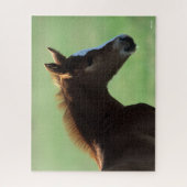 ボブラングリシュ |四分の馬の足のバックライト ジグソーパズル (縦)