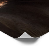 ボブラングリシュ |四分の馬の足のバックライト ポスター (角)