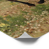 ボブラングリシュ |四分ランニングの馬の花 ポスター (角)