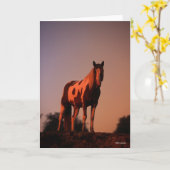 ボブラングリシュ 夕日絵を描に立つ|馬 カード (黄色い花)