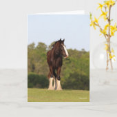 ボブラングリシュ |戦場に立つシャイアホース カード (黄色い花)