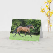 ボブラングリシュ |新しいフォレストポニースタリオン カード (黄色い花)
