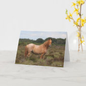 ボブラングリシュ |新しい森のポニーが低木の茂みに立つ カード (黄色い花)