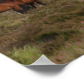 ボブラングリシュ |新しい森のポニー立ち ポスター (角)