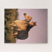 ボブラングリシュ |日没に立つアラブの馬2頭 ジグソーパズル (横)