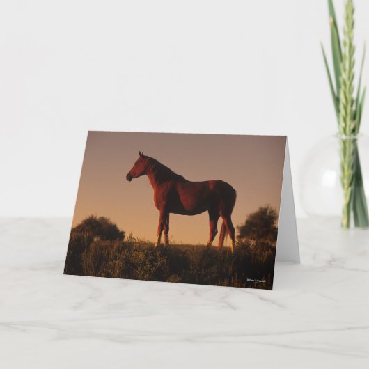 ボブラングリシュ |日没に立つアラブ人 カード (正面)