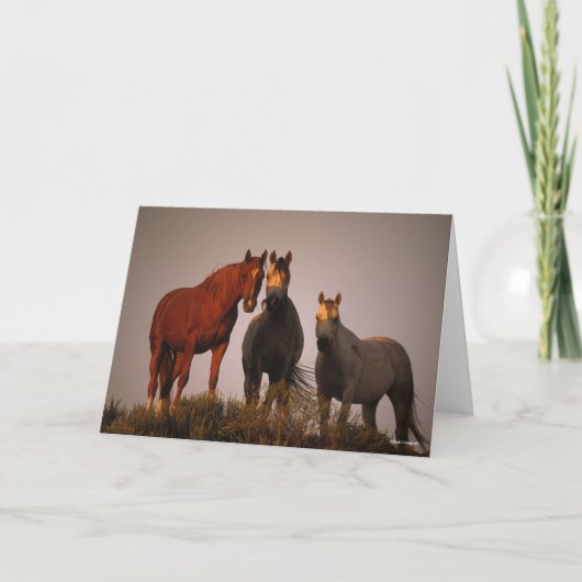 ボブラングリシュ |日没に立つ3人のアラブ人 カード (正面)