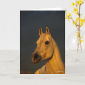 ボブラングリシュ |日没のアラブのグレーヘッドショット カード (黄色い花)