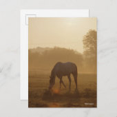 ボブラングリシュ |日没のアラブの放牧 ポストカード (正面/裏面)