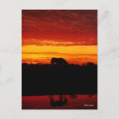 ボブラングリシュ |日没のアラブ馬の放牧 ポストカード (正面)