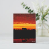 ボブラングリシュ |日没のアラブ馬の放牧 ポストカード (スタンド正面)