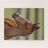 ボブラングリシュ |栗のアラブのフォーールヘッドショット ジグソーパズル (横)