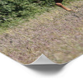 ボブラングリシュ |栗のアラブの馬3頭 ポスター (角)