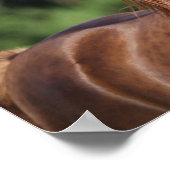 ボブラングリシュ |栗のアラブスタリオンヘッドショット ポスター (角)