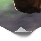 ボブラングリシュ |栗のアラブフォールのバックライトヘッドショット ポスター (角)