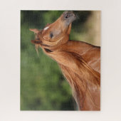 ボブラングリシュ |栗のアラブヘッドショットマネ流れ ジグソーパズル (縦)