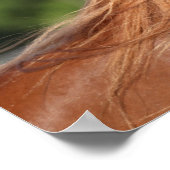 ボブラングリシュ |栗のアラブヘッドショットマネ流れ ポスター (角)