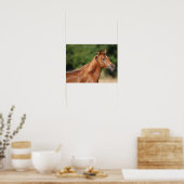 ボブラングリシュ |栗のアラブヘッドショットマネ流れ ポスター (キッチン)