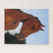 ボブラングリシュ |栗のアラブヘッドショット ジグソーパズル (横)