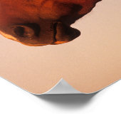 ボブラングリシュ |栗のアラブホースのヘッドショットサンセット ポスター (角)