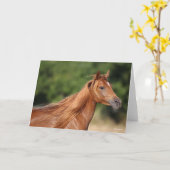 ボブラングリシュ |栗のアラブ首（しゅ）の真（ま）根（ね）が流れる カード (黄色い花)