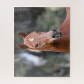 ボブラングリシュ |栗のオルデンバーグヘッドショット ジグソーパズル (縦)